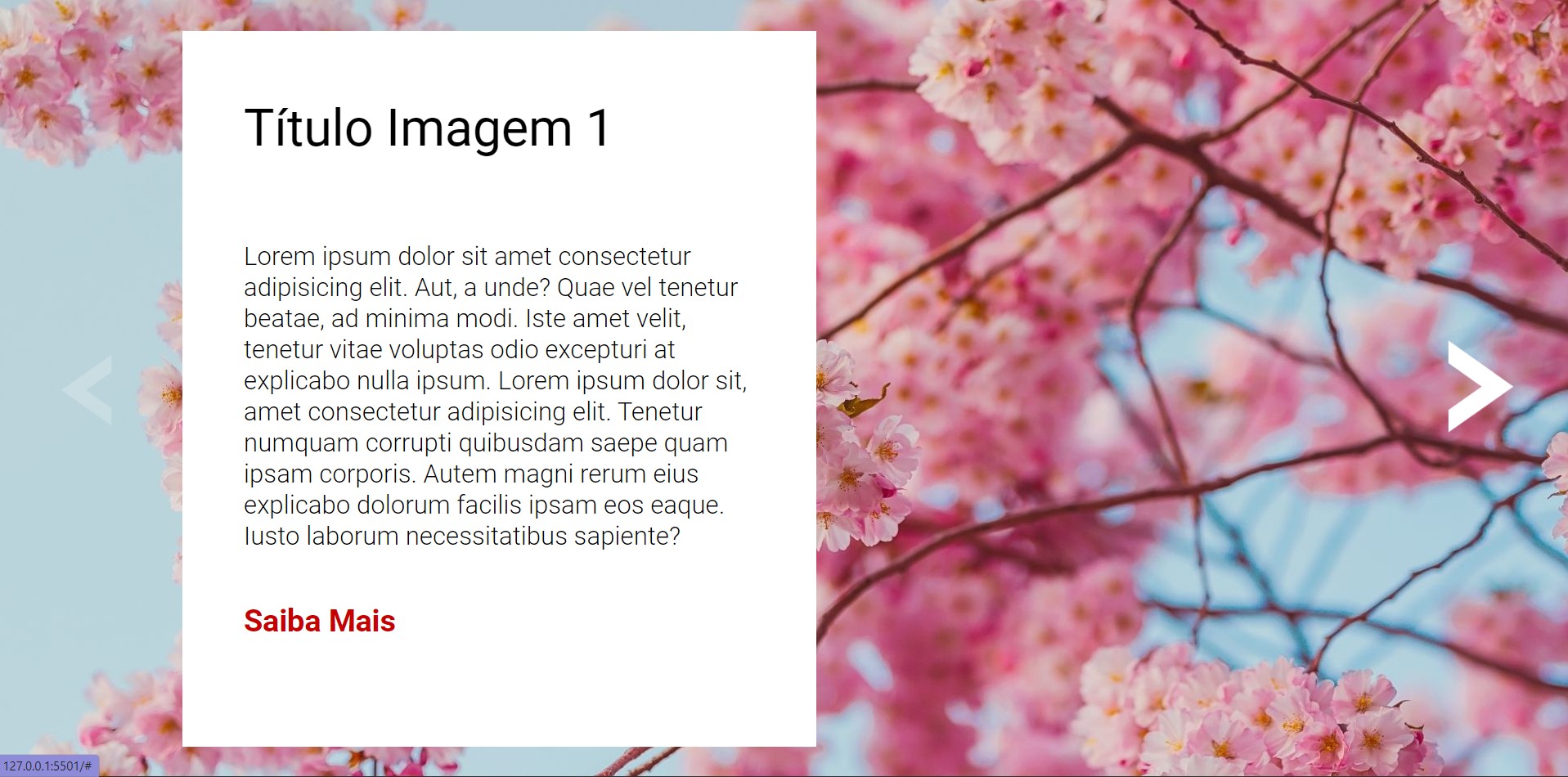 imagem projeto slide